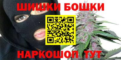 spice Кингисепп