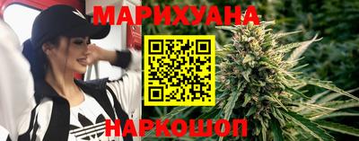 spice Кингисепп
