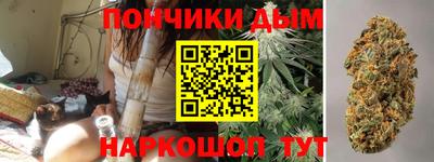 spice Кингисепп