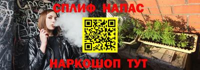 spice Кингисепп