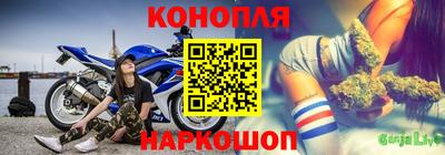 spice Кингисепп