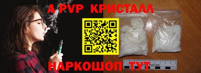 spice Кингисепп